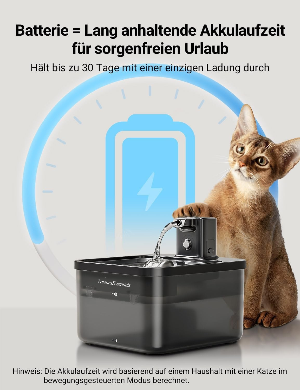 ValouraEssentials™ Cordless 2.5L Smart Fountain Bundle