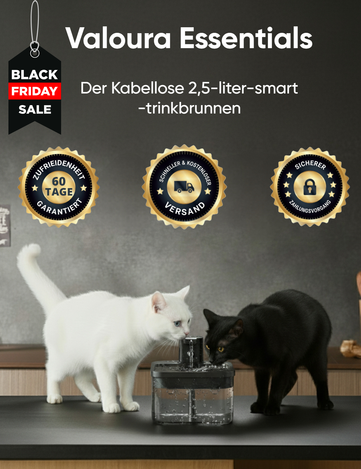 ValouraEssentials™ Cordless 2.5L Smart Fountain Bundle